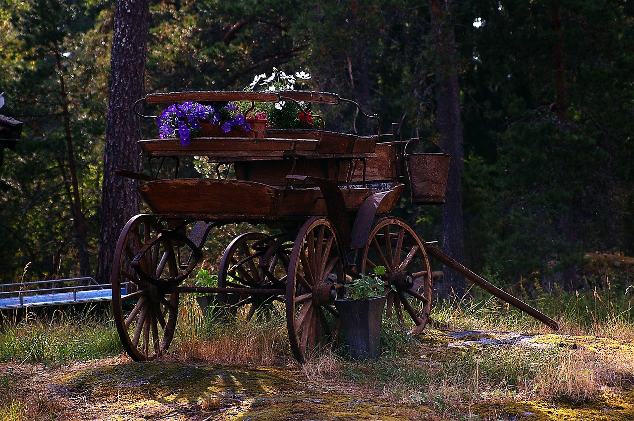 Demo Förening evenemang